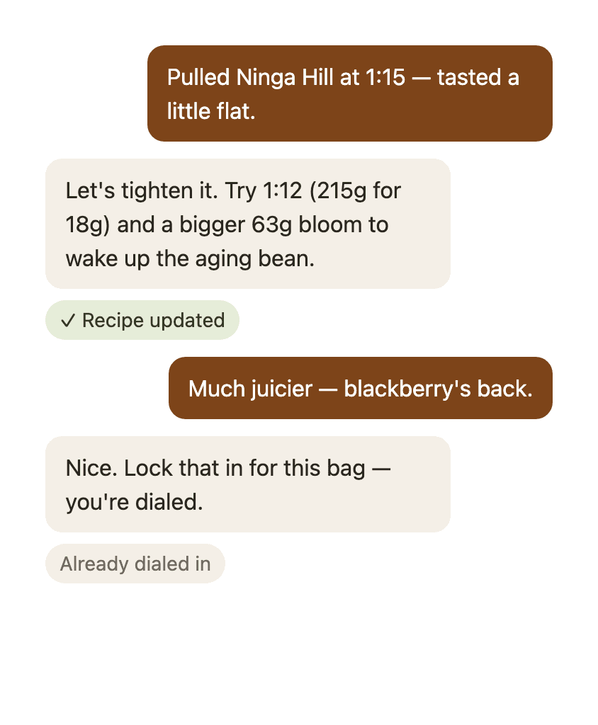 AI coaching chat showing brew feedback and recipe adjustments in the Better Brew app